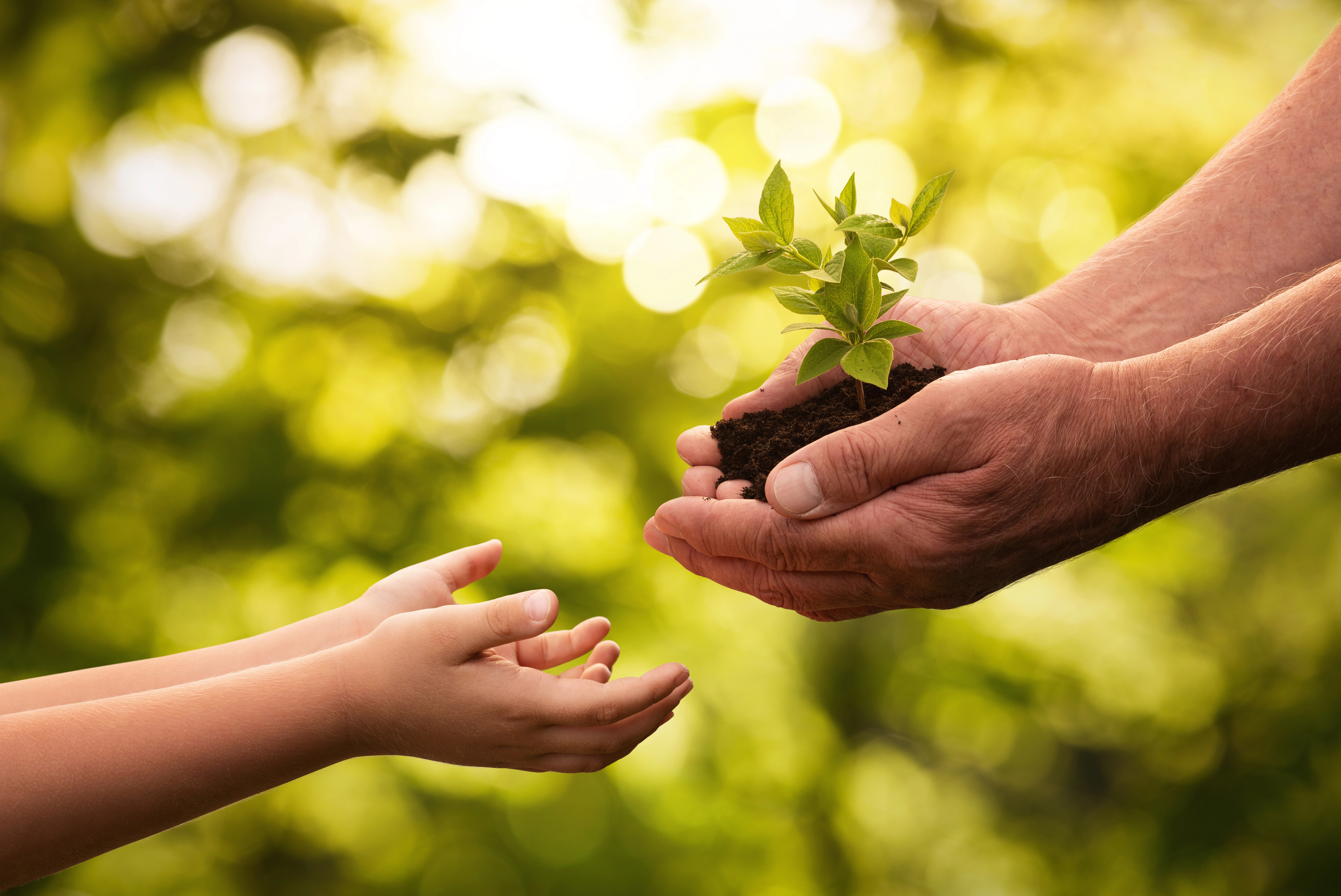image Environmental rights and local government in Cyprus